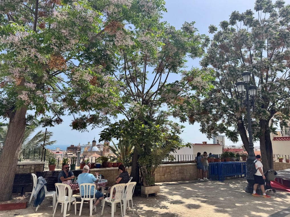 Living in Alicante Like a local