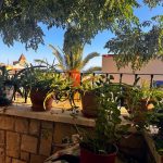 What’s it like to live in Alicante?