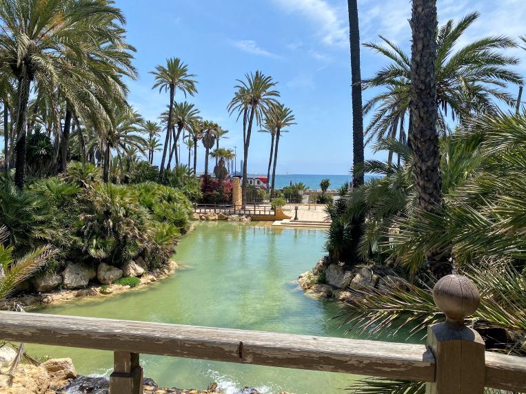 El palmeral Alicante