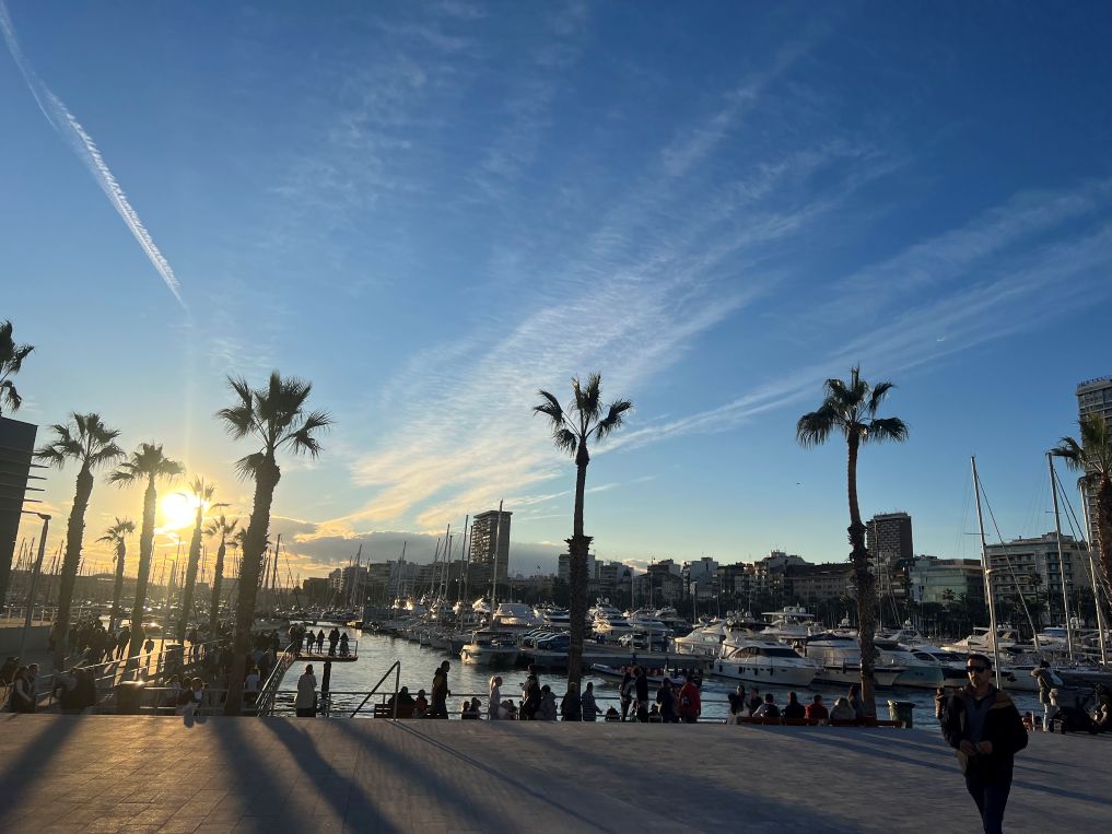 Alicante Marina in January