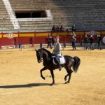 Whats on in Alicante this week 12 January to 18 January