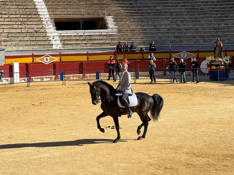 You are currently viewing Whats on in Alicante this week 12 January to 18 January