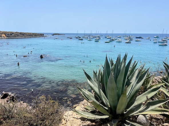 Clear waters off Tabarca Island