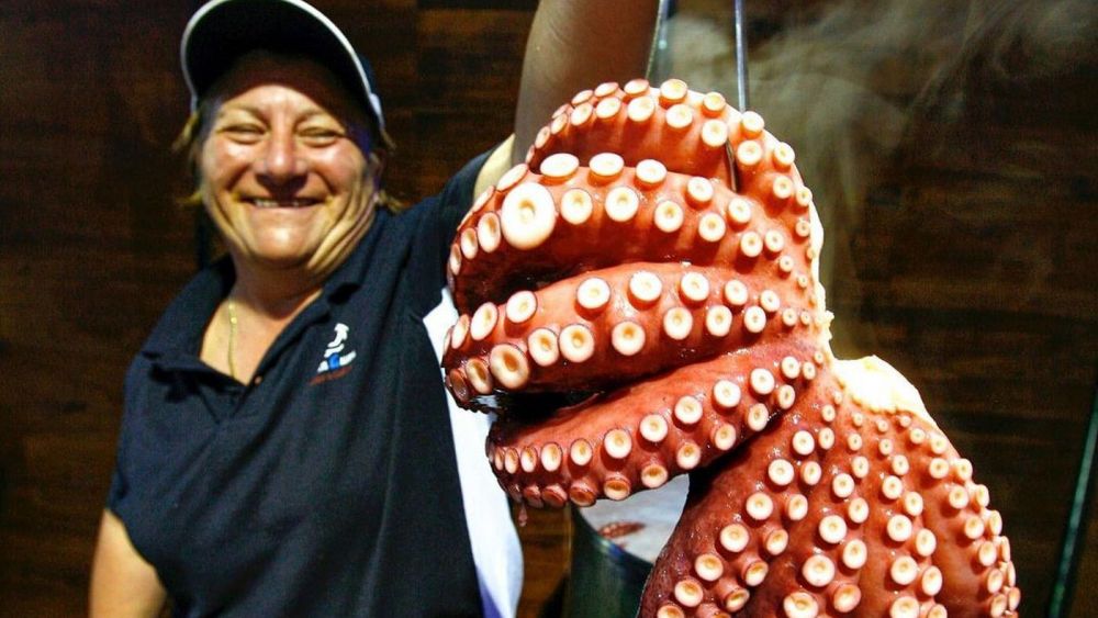 Read more about the article Whats on in Alicante: 14–20 March 2026