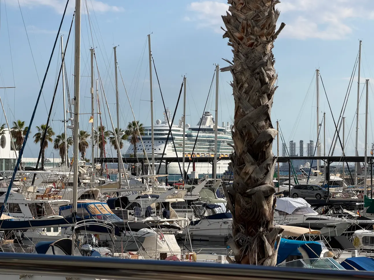 Cruise Ship in Alicante