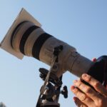 What’s On in Alicante: 7–14 August 2026